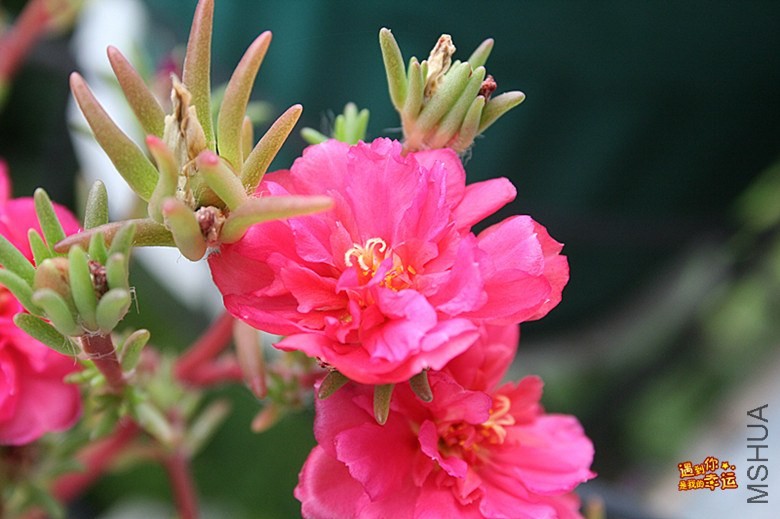 ��Ƭ 038_����.jpg