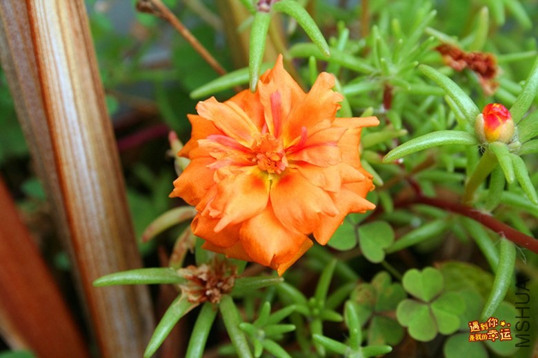 ��Ƭ 039_����.jpg