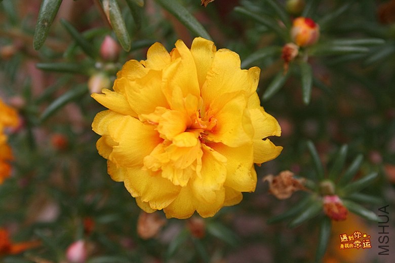 ��Ƭ 039A_����.jpg