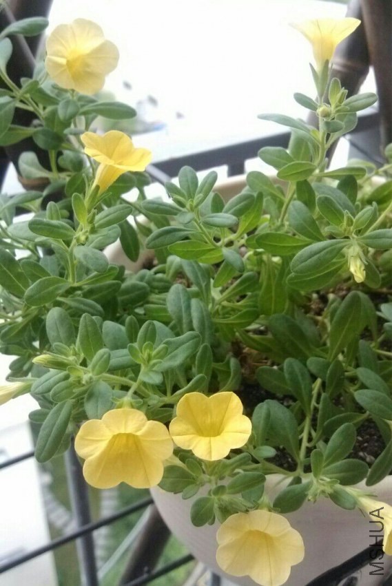 QQͼƬ20130901213541.jpg