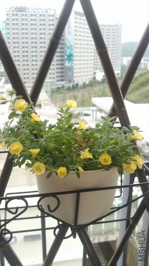QQͼƬ20130901213534.jpg