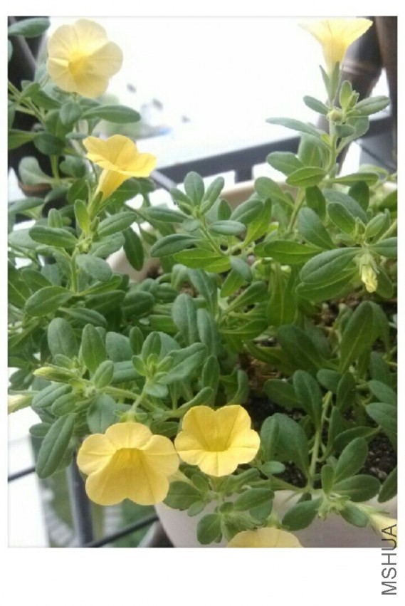 QQͼƬ20130901213537.jpg
