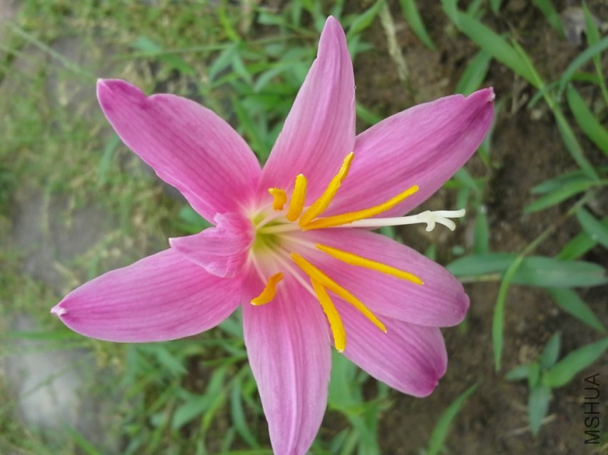 20130629_074353.jpg