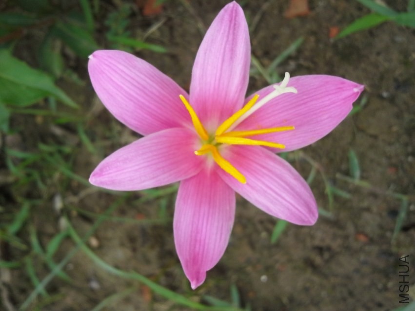 20130629_074328.jpg