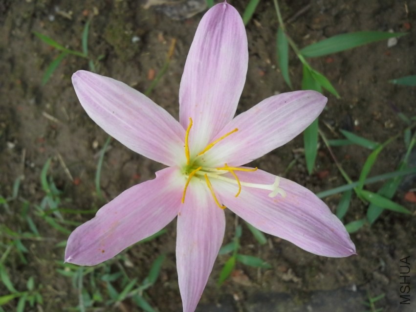 20130629_074341.jpg