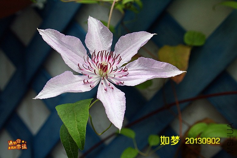 ��Ƭ 062_����.jpg