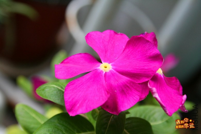 ��Ƭ 006_����.jpg