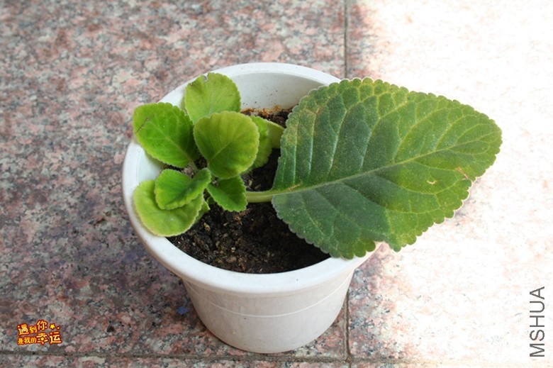 ��Ƭ 059_����.jpg