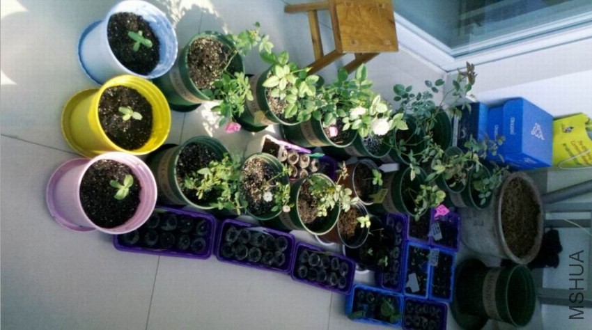 ������С �ޱ���2.jpg