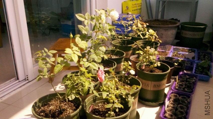 ������С 2013-09-01_10-23-10_179.jpg