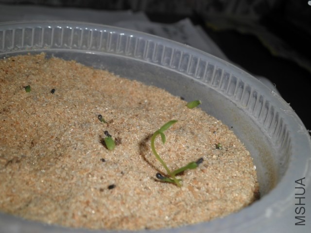 P9020242.JPG