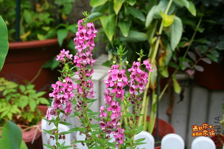 ��Ƭ 159_����.jpg