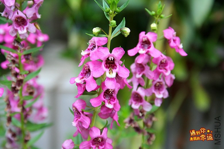 ��Ƭ 162_����.jpg