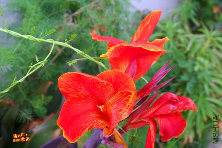 ��Ƭ 250_����.jpg