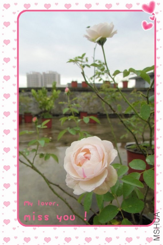 CIMG0470_����.jpg