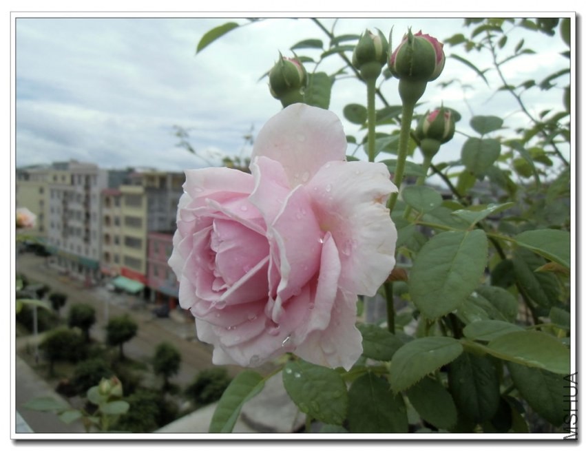 CIMG0477_����.jpg