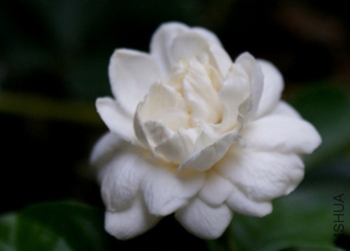 QQͼƬ20130904005721.jpg