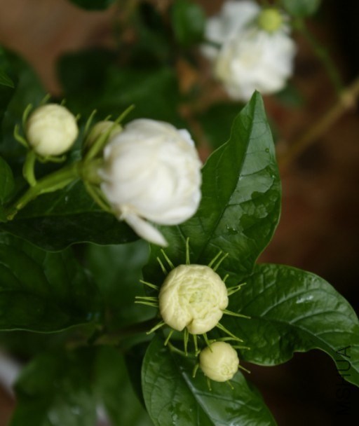 QQͼƬ20130904005642.jpg