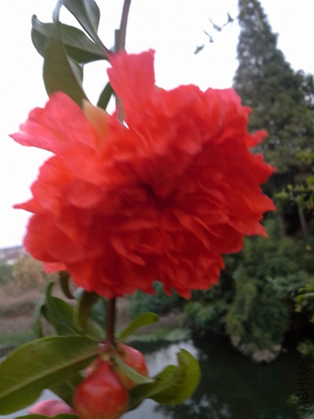 20130903_181201.jpg