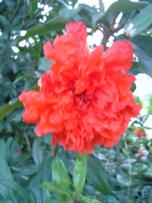 20130903_181230.jpg