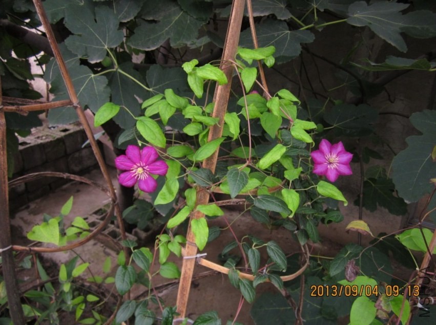 QQͼƬ20130904095128.jpg