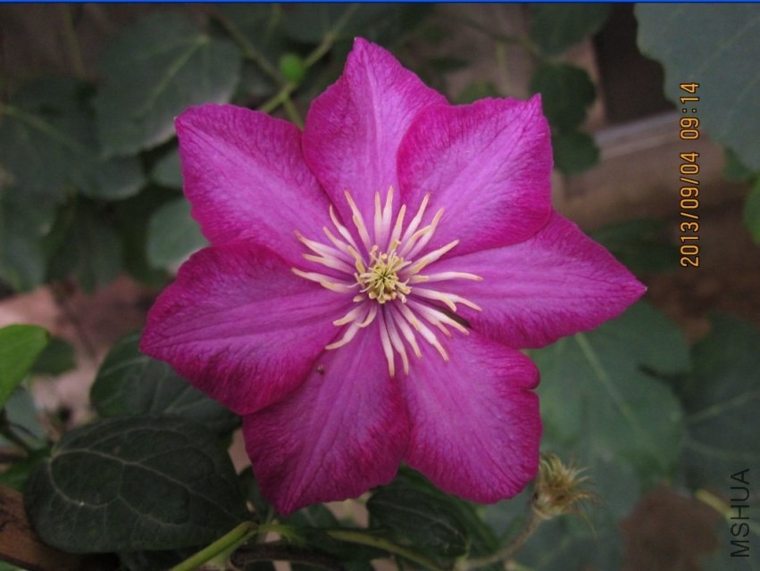 QQͼƬ20130904095134.jpg
