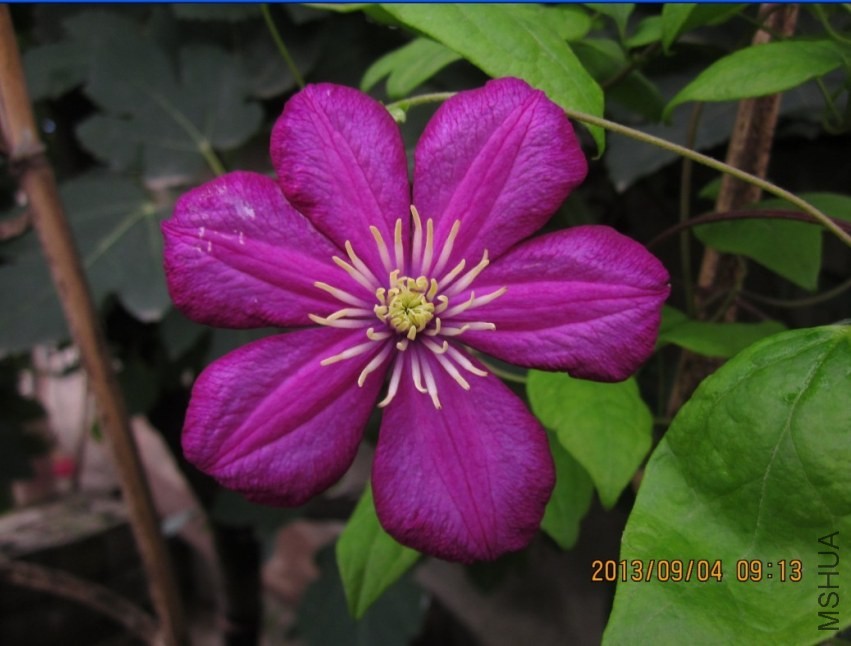 QQͼƬ20130904095140.jpg