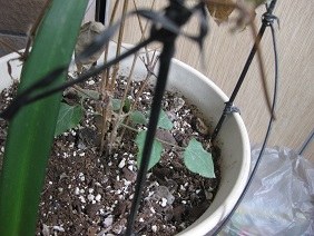 IMG_3544.jpg