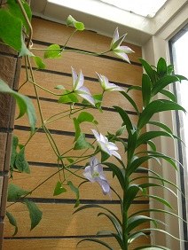 IMG_3299.JPG