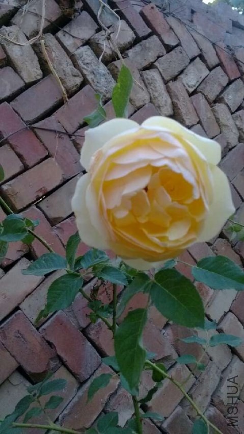 QQͼƬ20130904151837.jpg