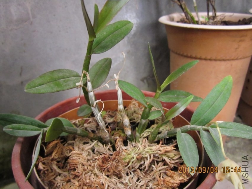 QQͼƬ20130904151837.jpg