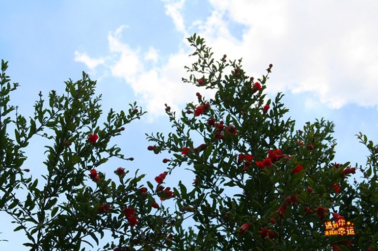 ��Ƭ 052_����.jpg