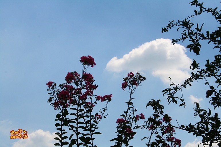 ��Ƭ 053_����.jpg