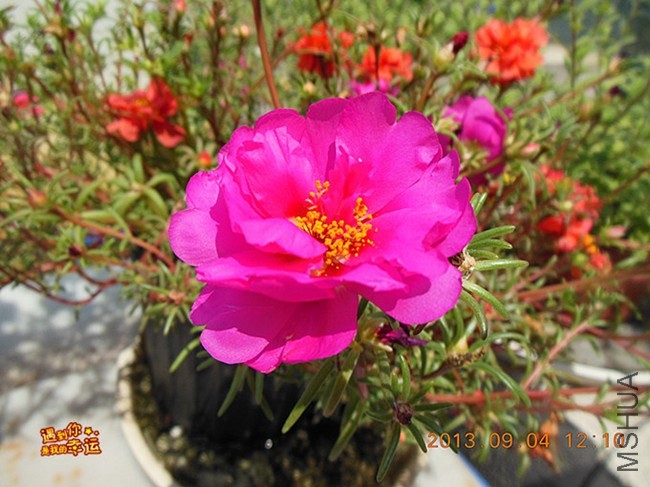 ��Ƭ 012_����.jpg