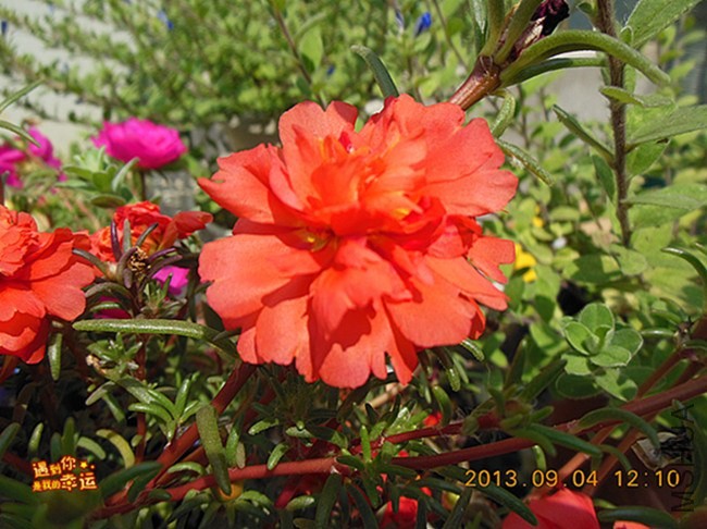 ��Ƭ 013_����.jpg