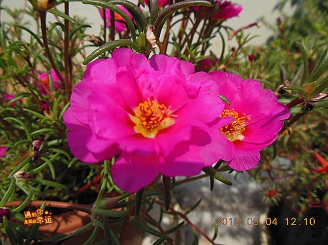 ��Ƭ 014_����.jpg