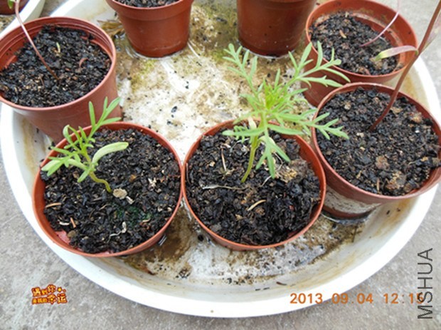 ��Ƭ 017_����.jpg