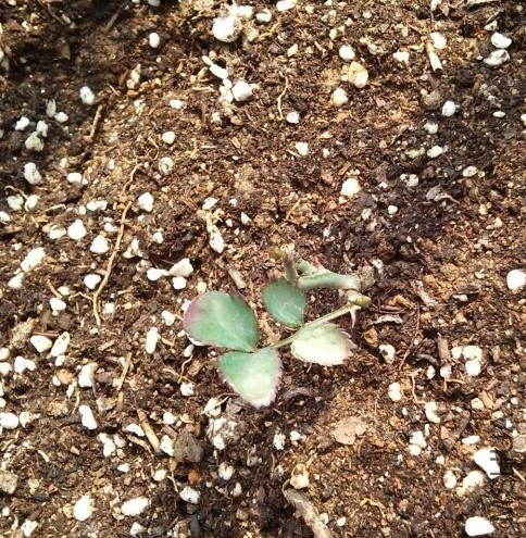 ���ʱ����ǩ�ɣ��������ײ���������ѿ�㳬�࣬��ϧ���걻��Ū���ˣ�����úü��������������úñ���