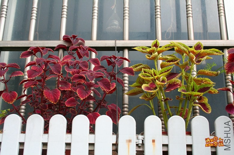 ��Ƭ 173_����.jpg