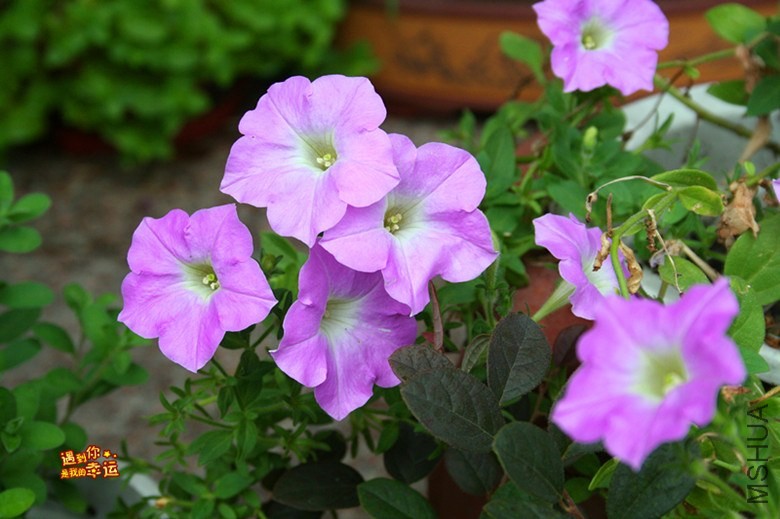 ��Ƭ 157_����.jpg