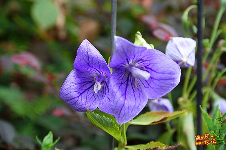 ��Ƭ 164_����.jpg