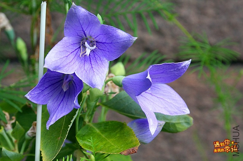 ��Ƭ 165_����.jpg