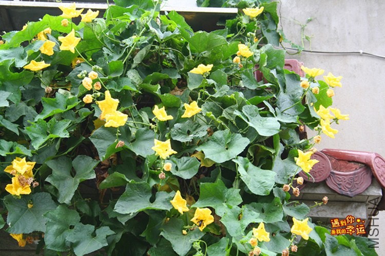 ��Ƭ 223_����.jpg