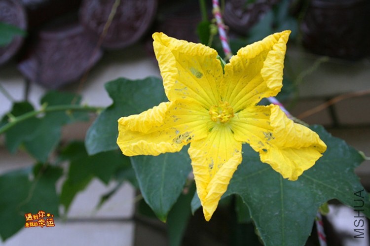 ��Ƭ 224_����.jpg