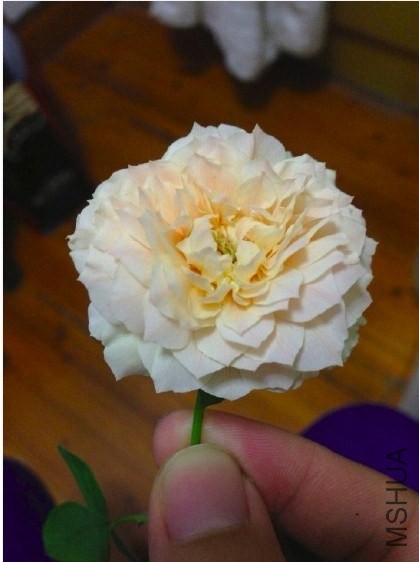 QQͼƬ20130905220719.jpg