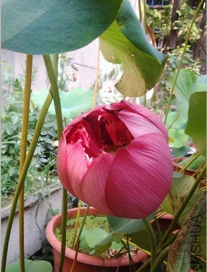 QQͼƬ20130905131836.jpg