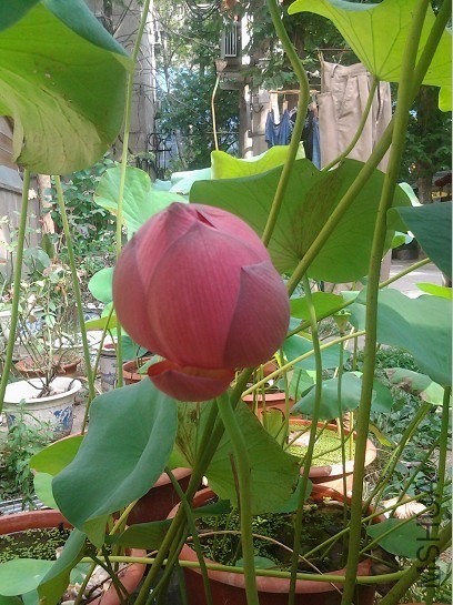 QQͼƬ20130905222813.jpg