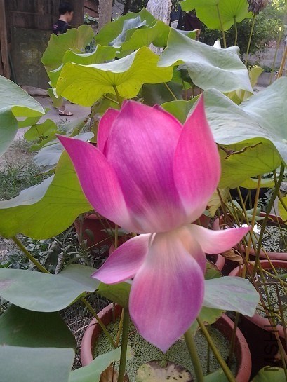 QQͼƬ20130905222820.jpg