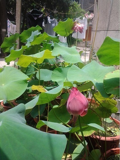 QQͼƬ20130905222826.jpg