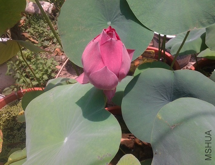 QQͼƬ20130905222833.jpg